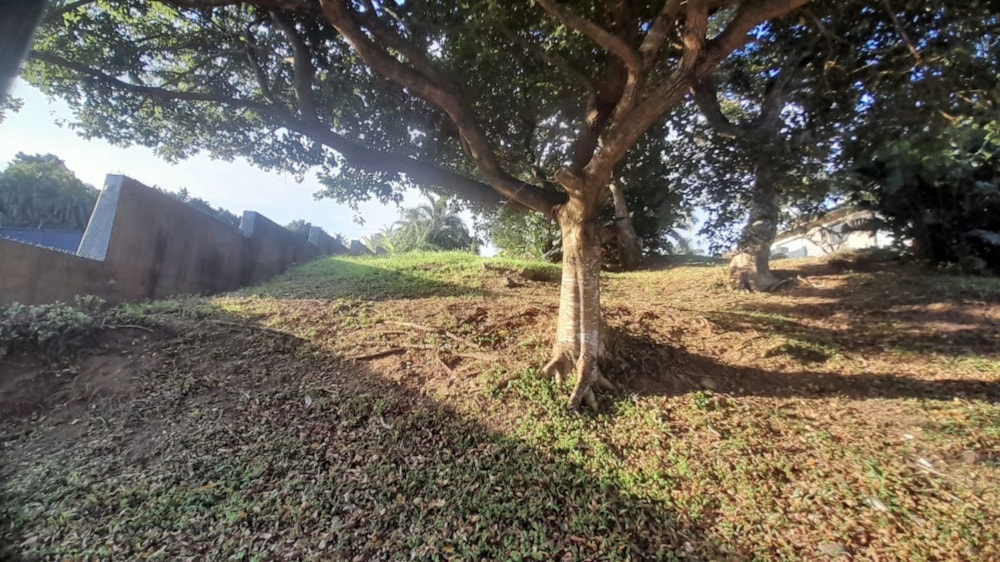 Vacant land for sale in Shelly Beach - 1PSH1713689