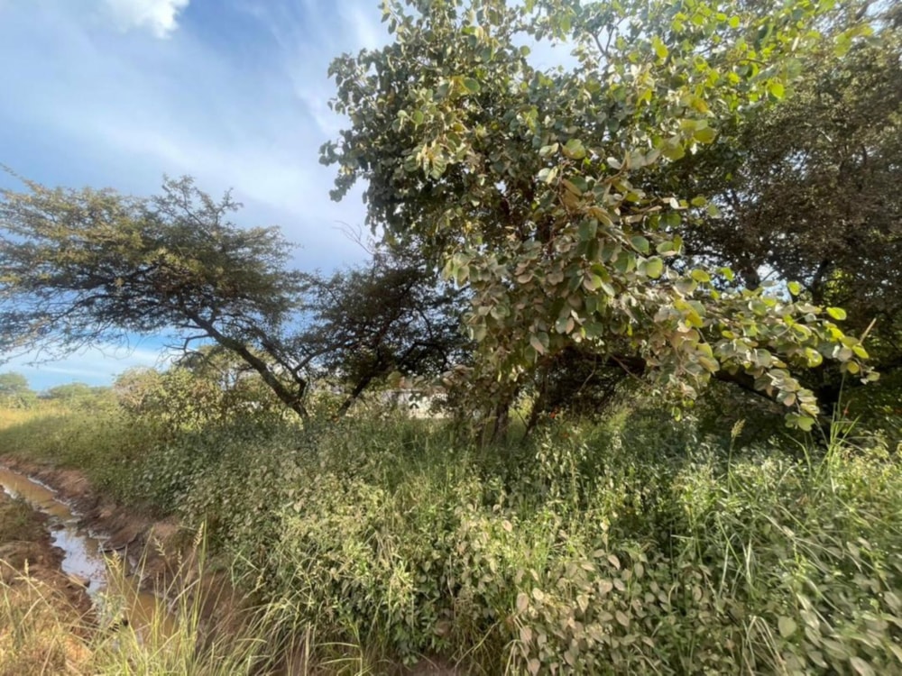 Vacant land for sale in Roan Park, Lusaka Province, Zambia - 3ZA1737311