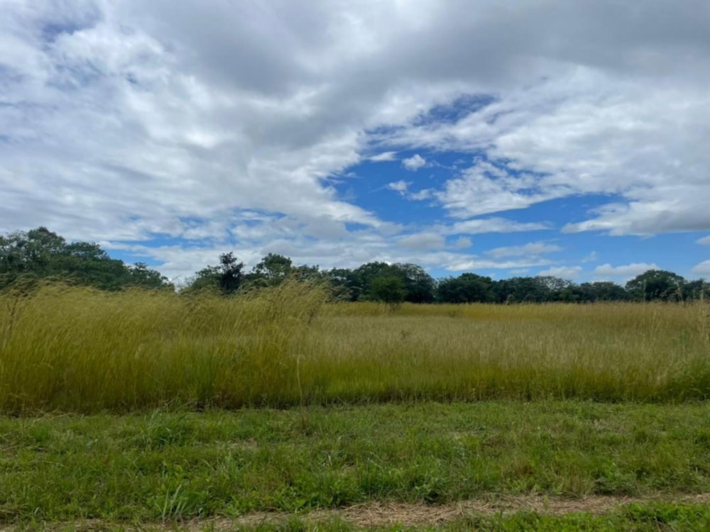 Vacant land for sale in Bonanza Golf Estate, Lusaka Province, Zambia - 3ZA1737305