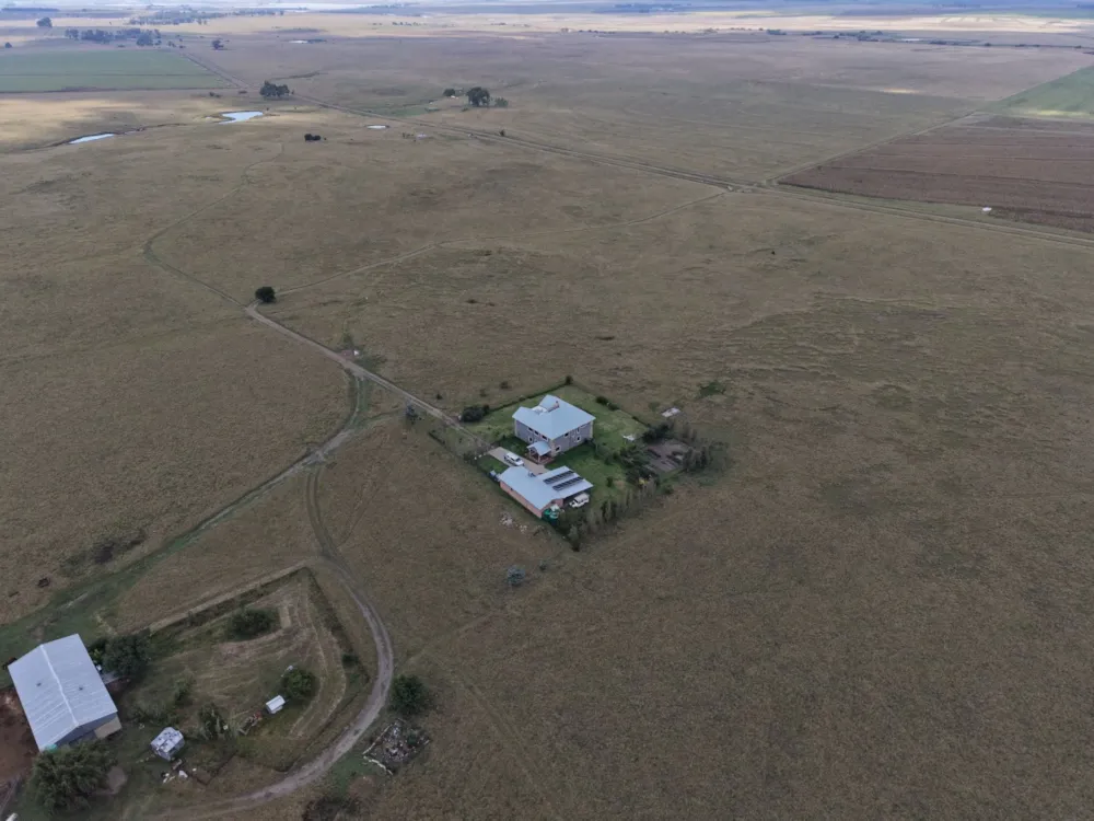 Livestock farm for sale in Heilbron - 1BTH1735927 Livestock farm for sale in Heilbron - 1BTH1735927