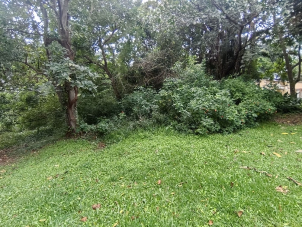 Vacant land for sale in Umtentweni - 1PSH1736117