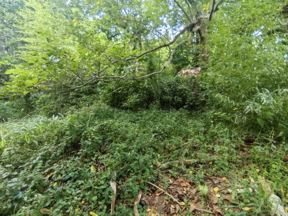 Vacant land for sale in Umtentweni - 1PSH1736117