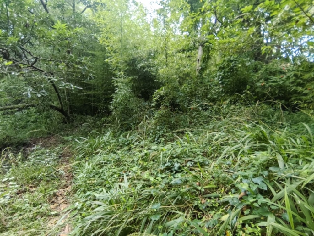 Vacant land for sale in Umtentweni - 1PSH1736117