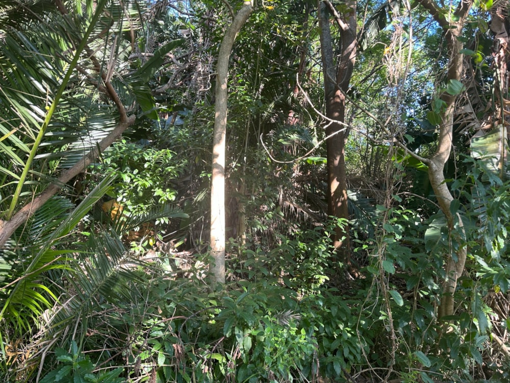 Residential vacant land for sale in Marina Beach - 1PD1734869