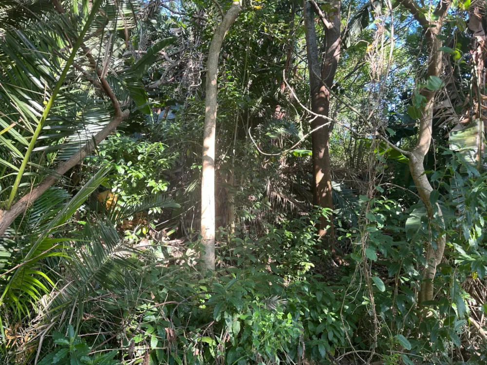 Residential vacant land for sale in Marina Beach - 1PD1734869 Residential vacant land for sale in Marina Beach - 1PD1734869