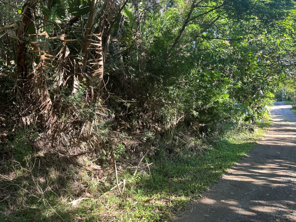 Residential vacant land for sale in Marina Beach - 1PD1734869