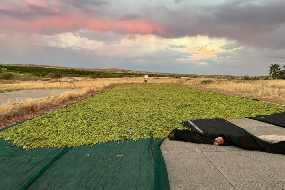Aquaculture farm for sale in Karos, Upington Rural Areas - 1KAH1736205