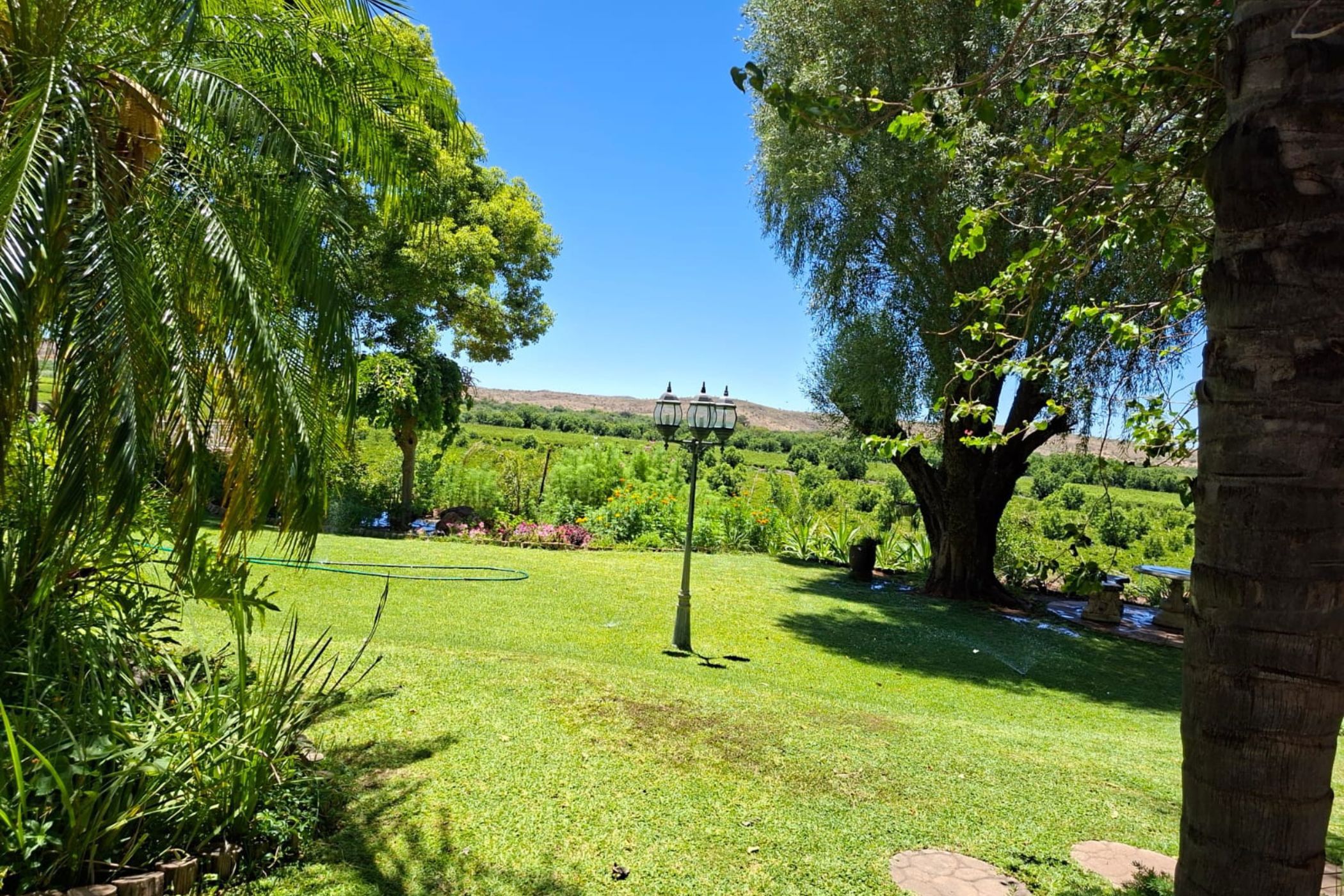 Aquaculture farm for sale in Karos, Upington Rural Areas - 1KAH1736205