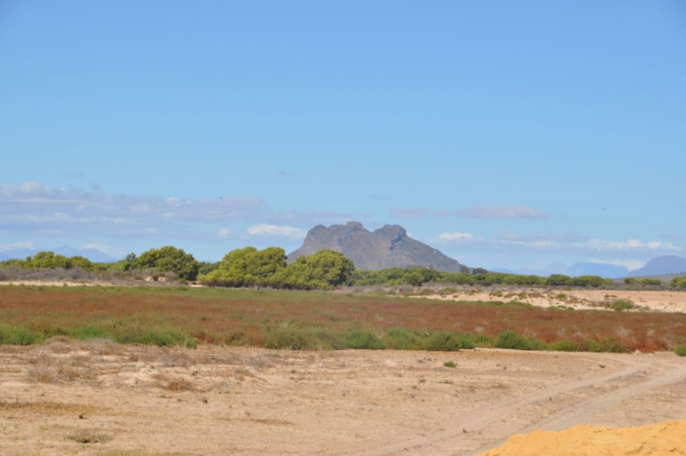 Mixed use farm sold in Dwarskersbos - LA1737300 Mixed use farm sold in Dwarskersbos - LA1737300