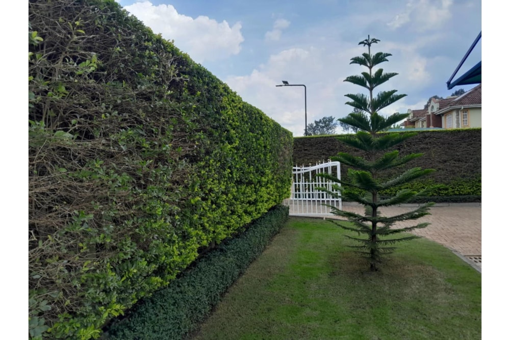 House to rent in Kiambu Road, Kenya - 3KE1735478