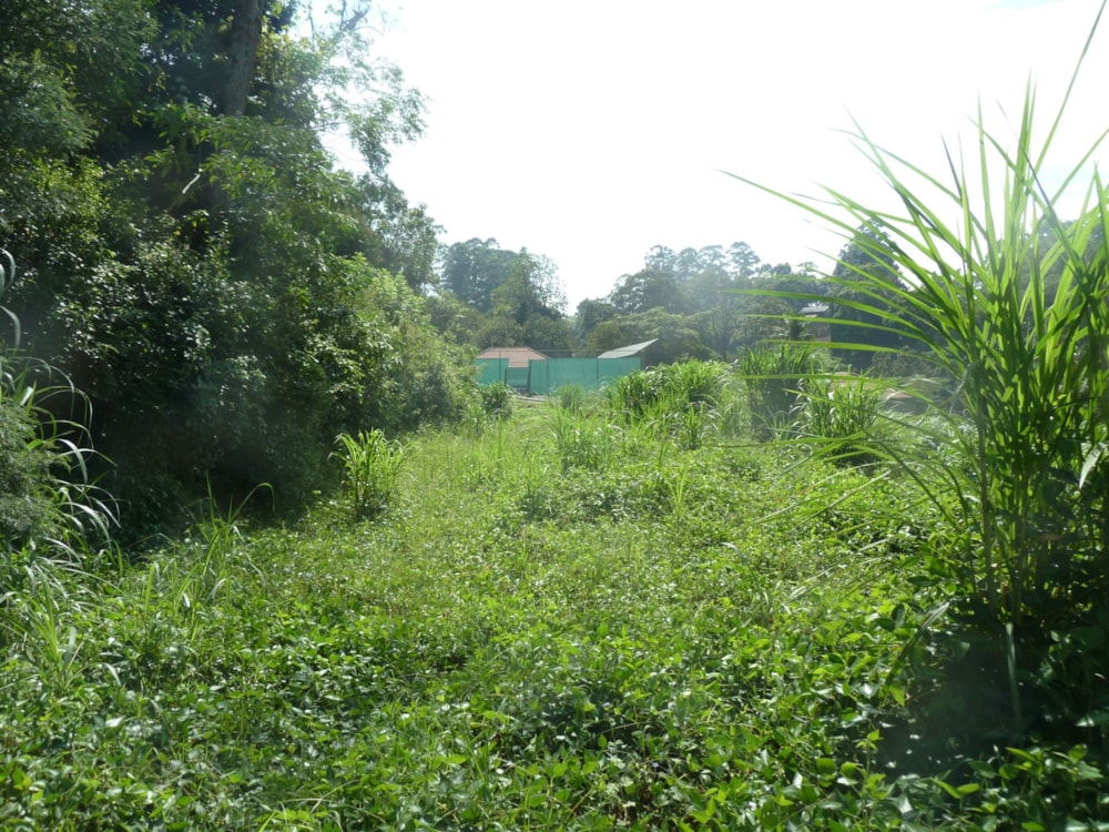 Residential vacant land for sale in Assagay - 1KF1735611 Residential vacant land for sale in Assagay - 1KF1735611