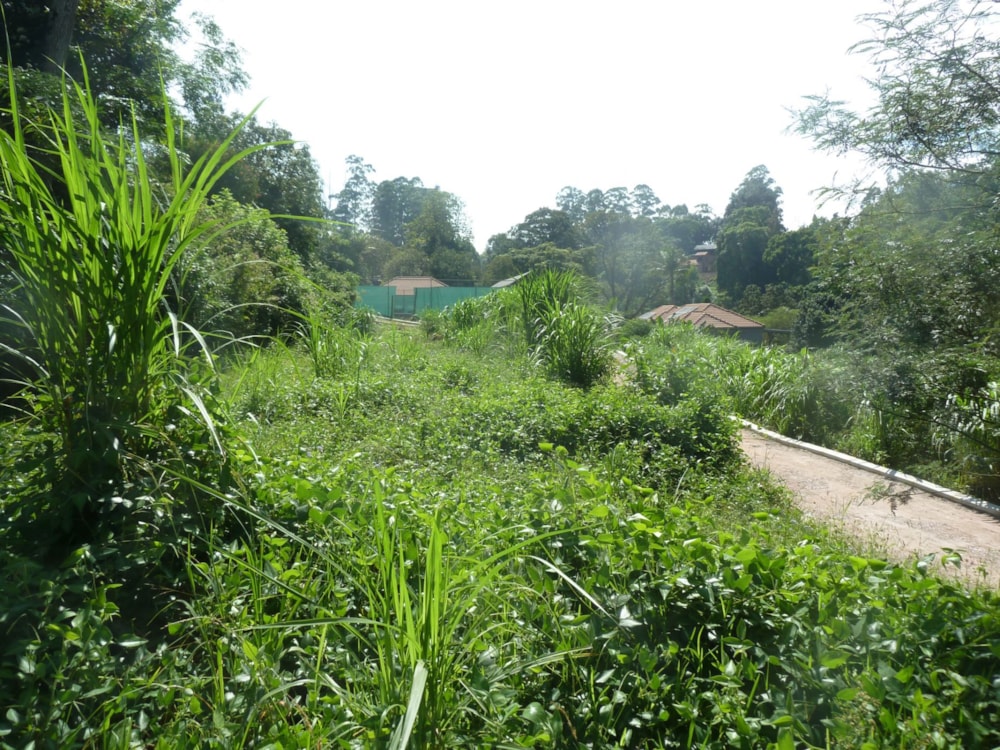 Residential vacant land for sale in Assagay - 1KF1735611 Residential vacant land for sale in Assagay - 1KF1735611