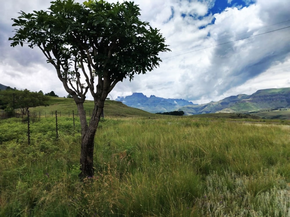 Vacant land for sale in Cathkin Park - 1PM1735627