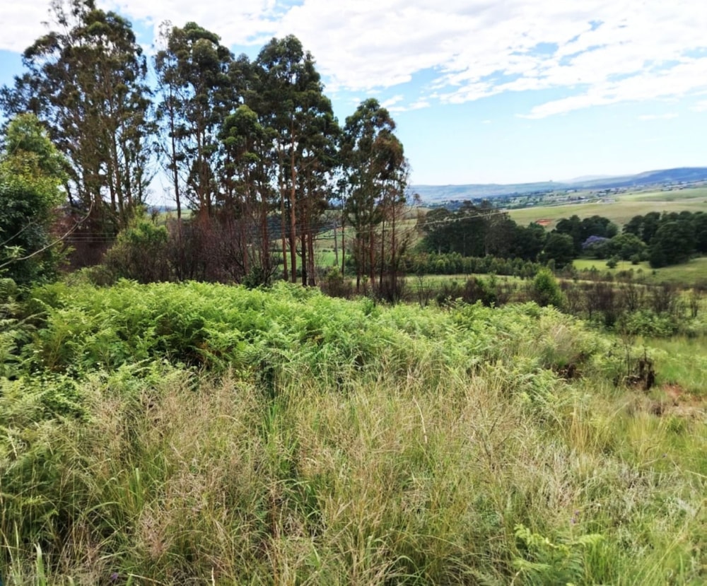 Vacant land for sale in Cathkin Park - 1PM1735627