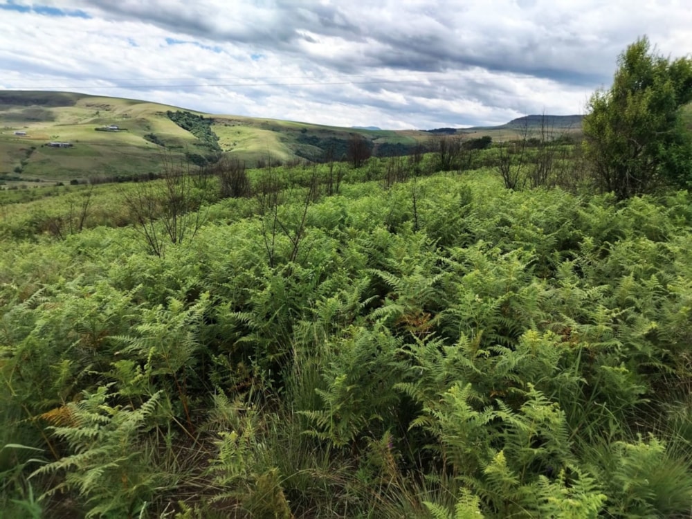 Vacant land for sale in Cathkin Park - 1PM1735627