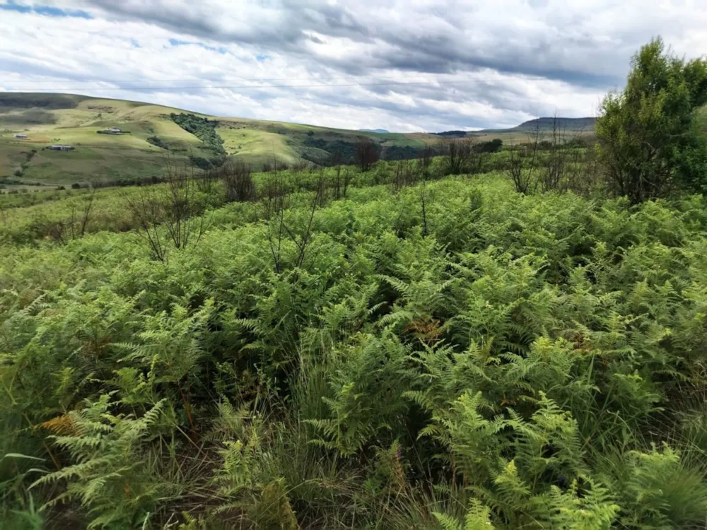 Vacant land for sale in Cathkin Park - 1PM1735627 Vacant land for sale in Cathkin Park - 1PM1735627