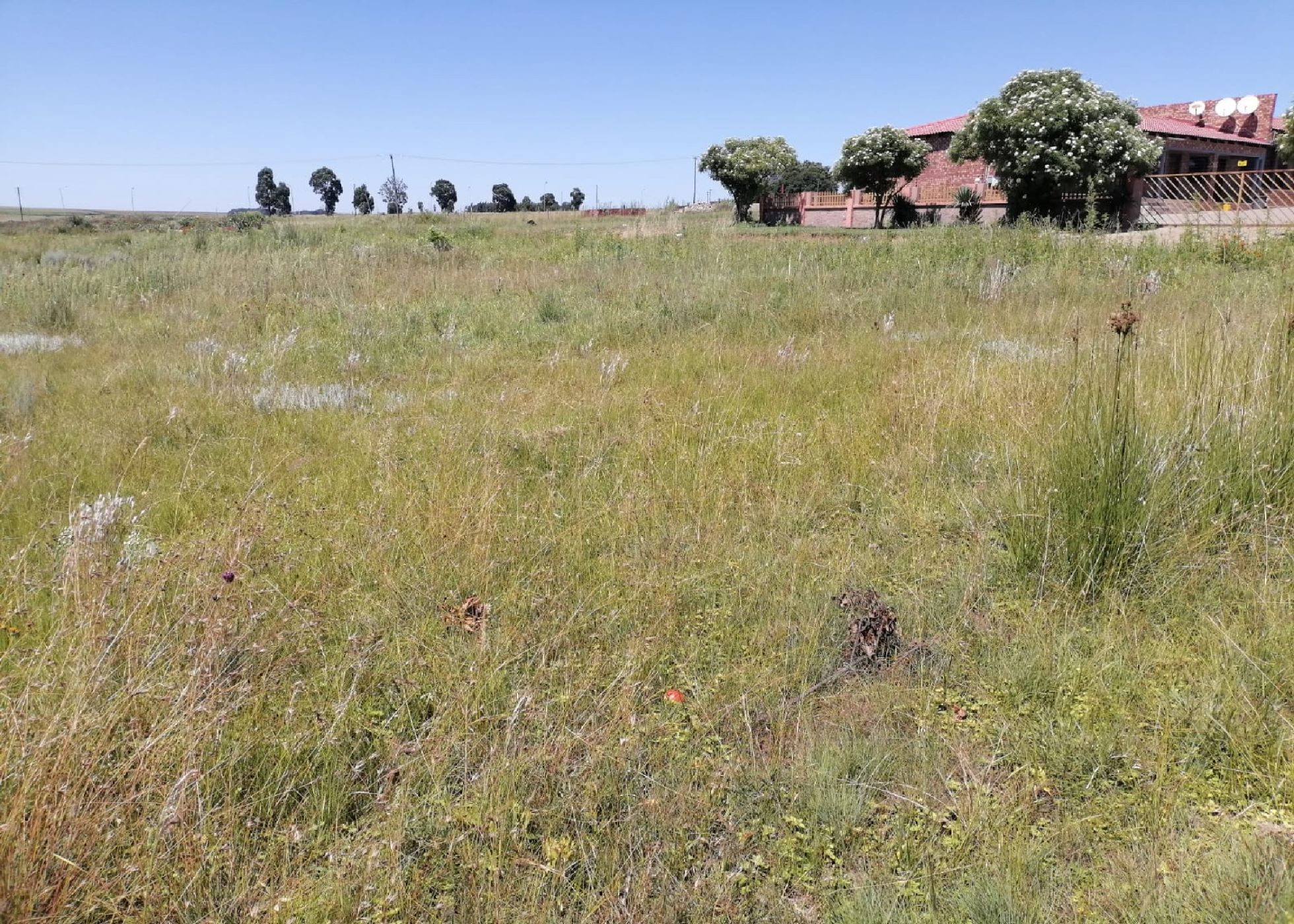 Vacant land for sale in Hendrina - 1MD1735631