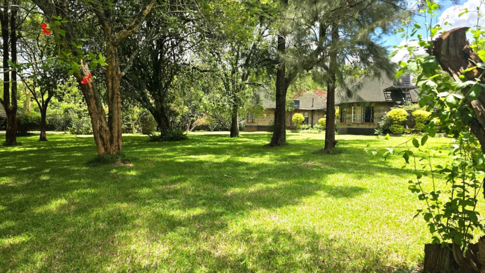 Cottage to rent in Karen, Kenya - 3KE1735705