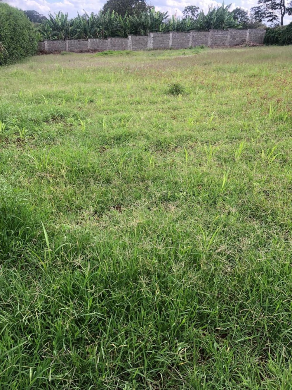 Vacant land for sale in Nyari, Kenya - 3KE1735713