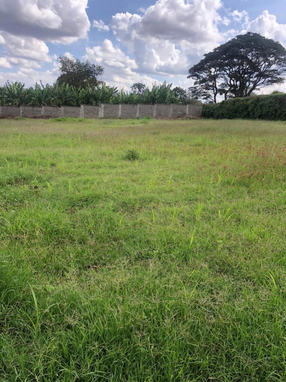 Vacant land for sale in Nyari, Kenya - 3KE1735713