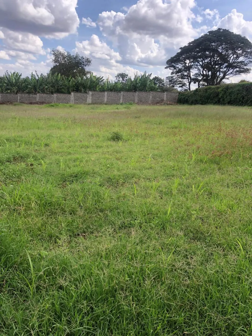 Vacant land sold in Nyari, Kenya - 3KE1739882 Vacant land sold in Nyari, Kenya - 3KE1739882