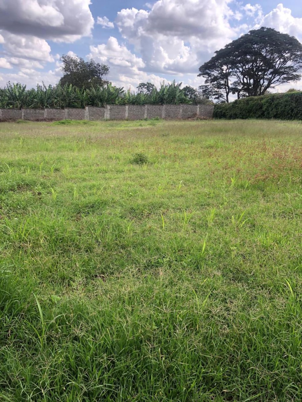 Vacant land for sale in Nyari, Kenya - 3KE1735713