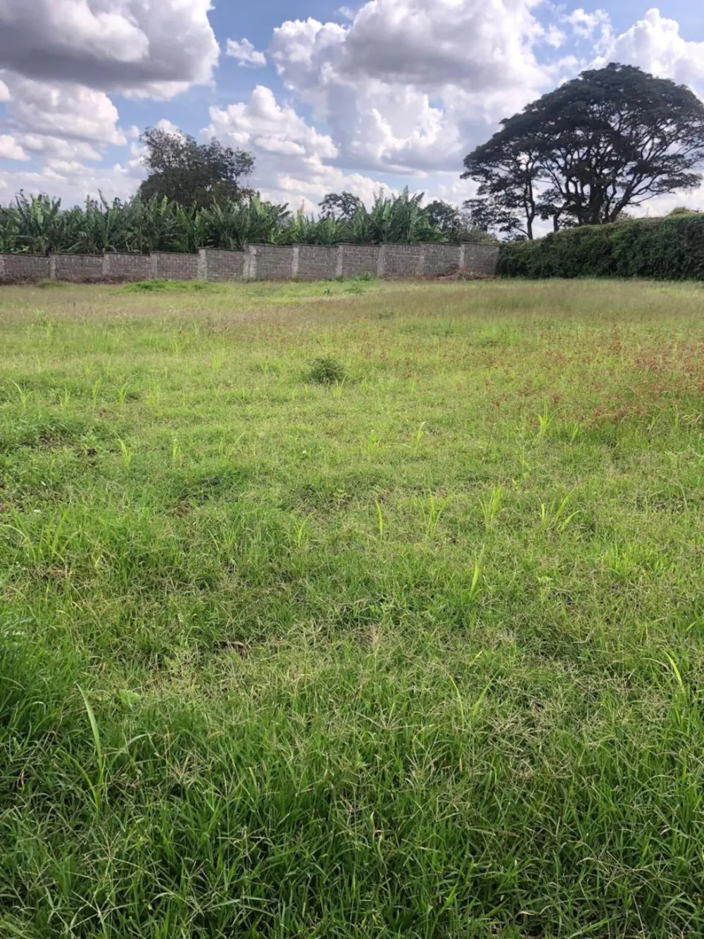 Vacant land sold in Nyari, Kenya - 3KE1739882 Vacant land sold in Nyari, Kenya - 3KE1739882