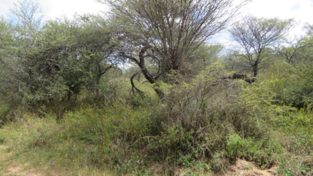 Vacant land for sale in Bela Bela Rural - 1MDM1735750