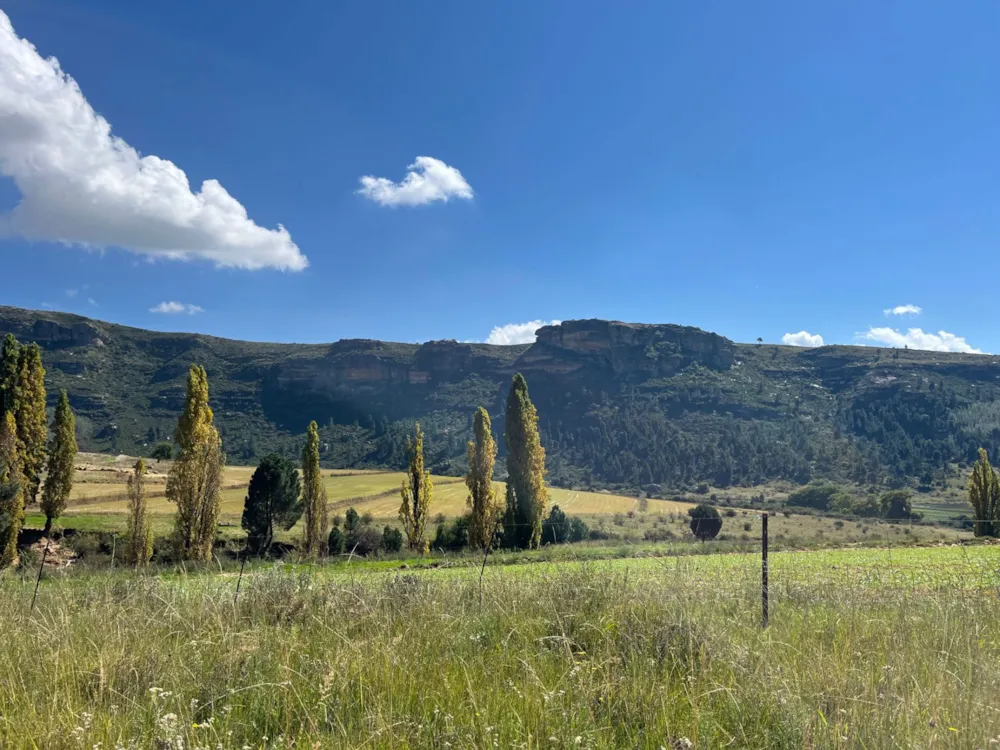 Mixed use farm for sale in Fouriesburg - 1CS1735829