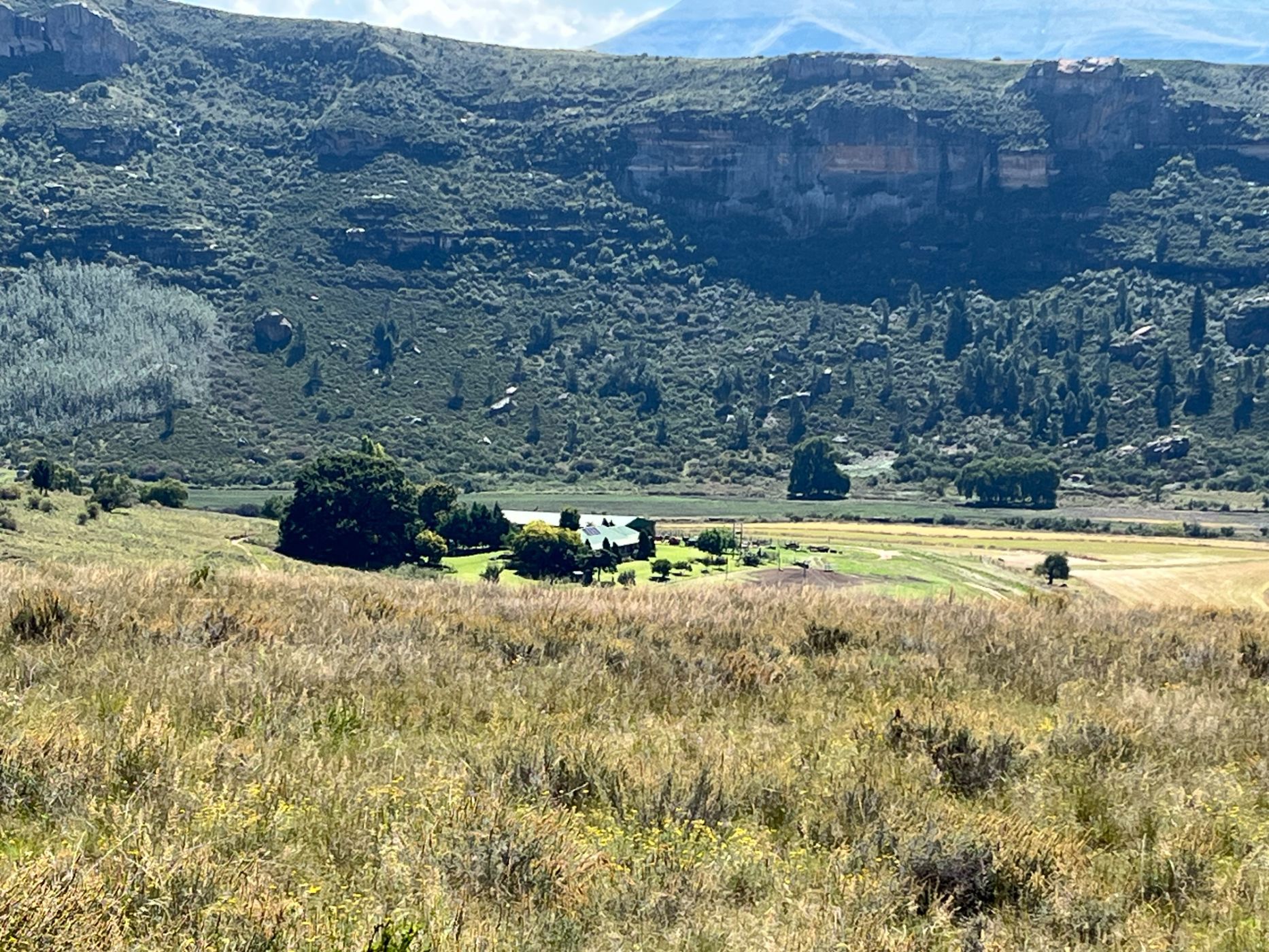 Mixed use farm for sale in Fouriesburg - 1CS1735829