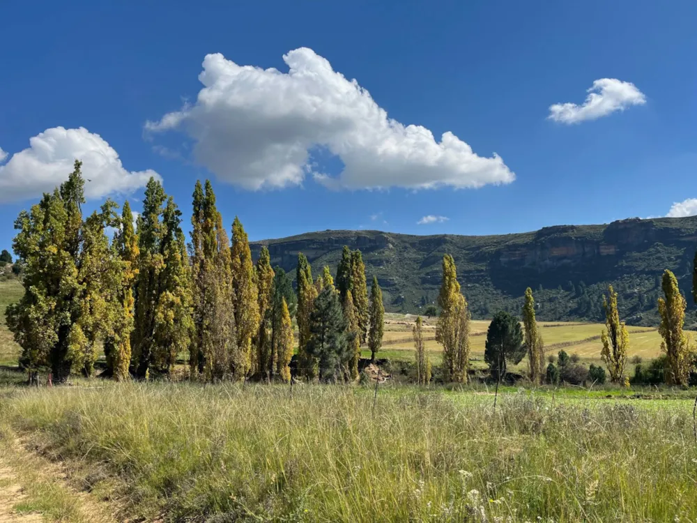Mixed use farm for sale in Fouriesburg - 1CS1735829