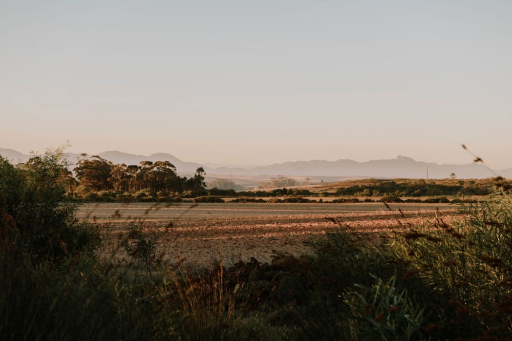 Smallholding for sale in Albertinia - 1SR1735834