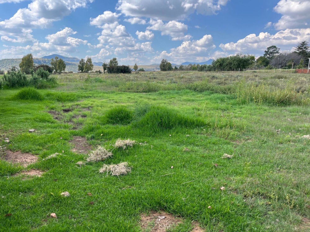 Vacant land for sale in Rosendal, Free State - 1CS1735963