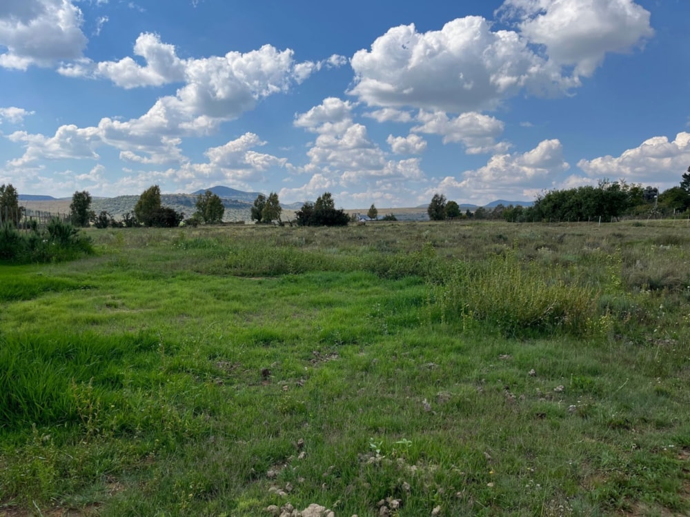 Vacant land for sale in Rosendal, Free State - 1CS1735963