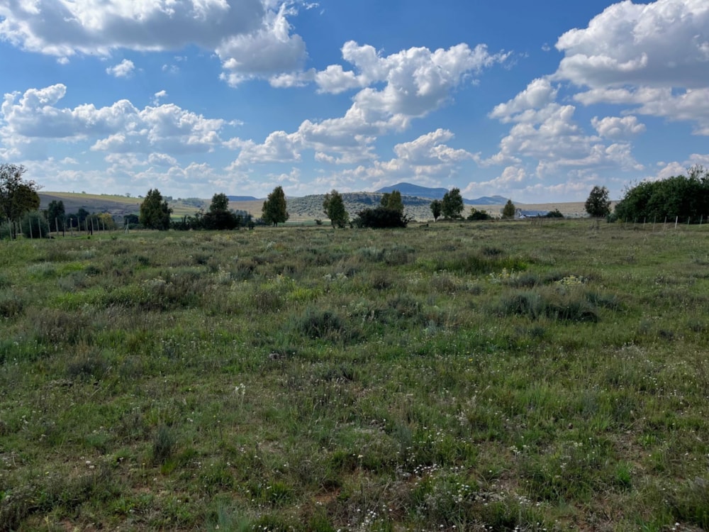 Vacant land for sale in Rosendal, Free State - 1CS1735963