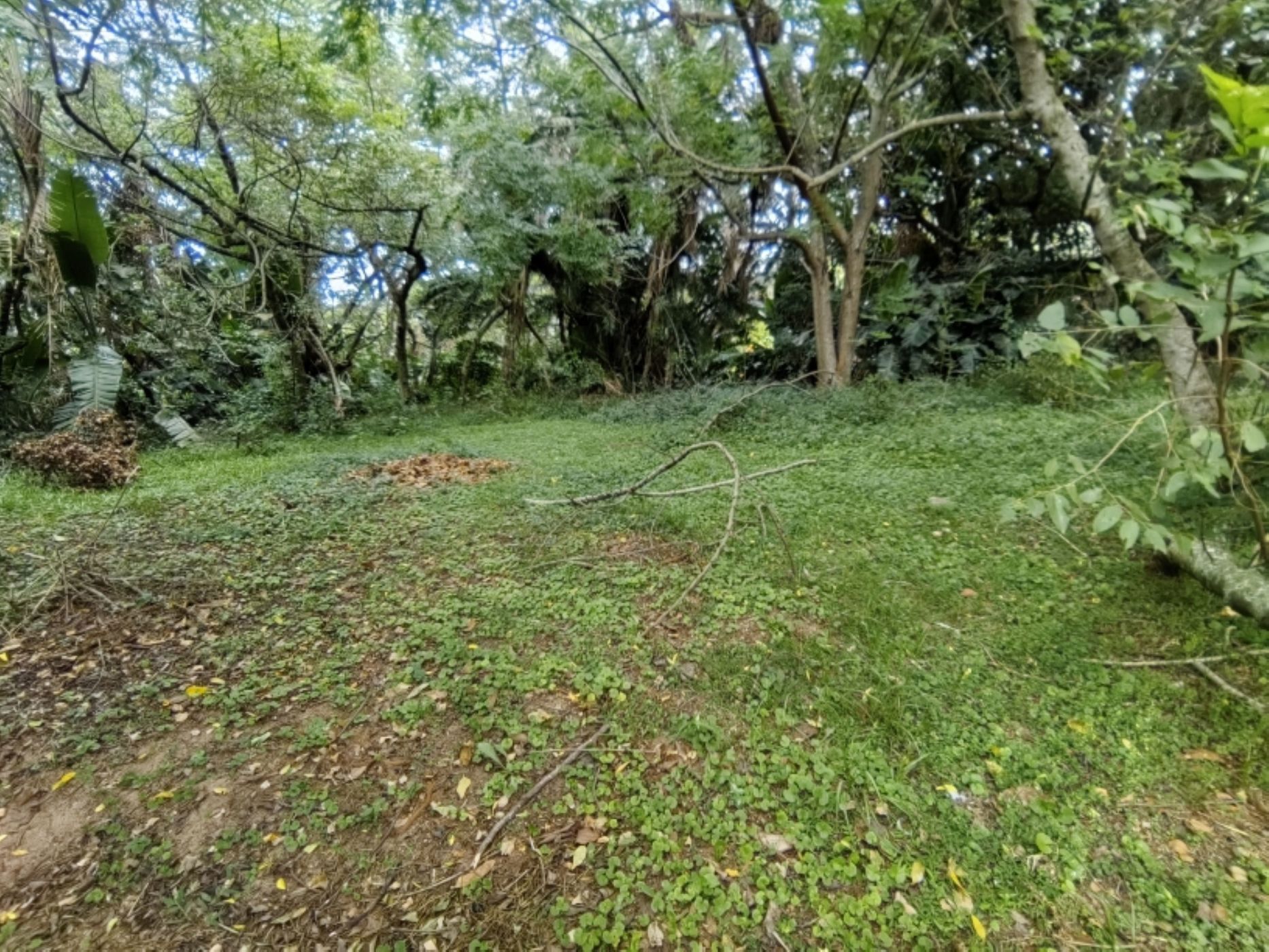 Residential vacant land for sale in Hibberdene - 1PSH1736116