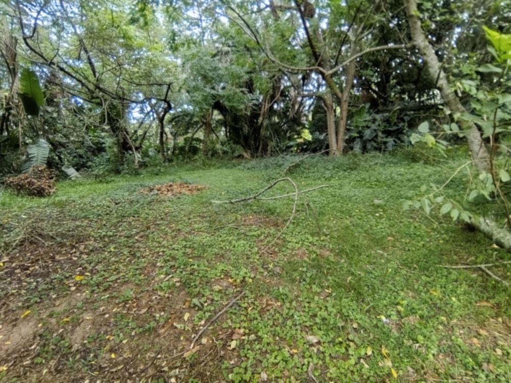 Residential vacant land for sale in Hibberdene - 1PSH1736116