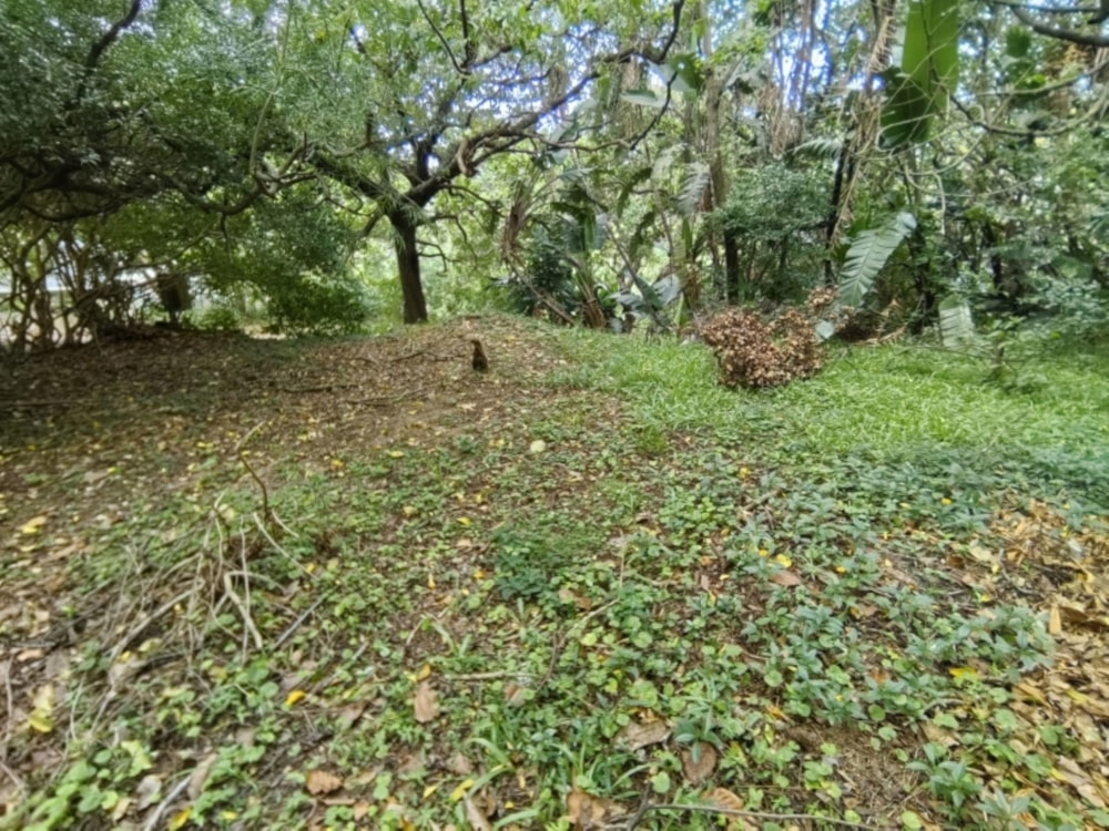 Residential vacant land for sale in Hibberdene - 1PSH1736116