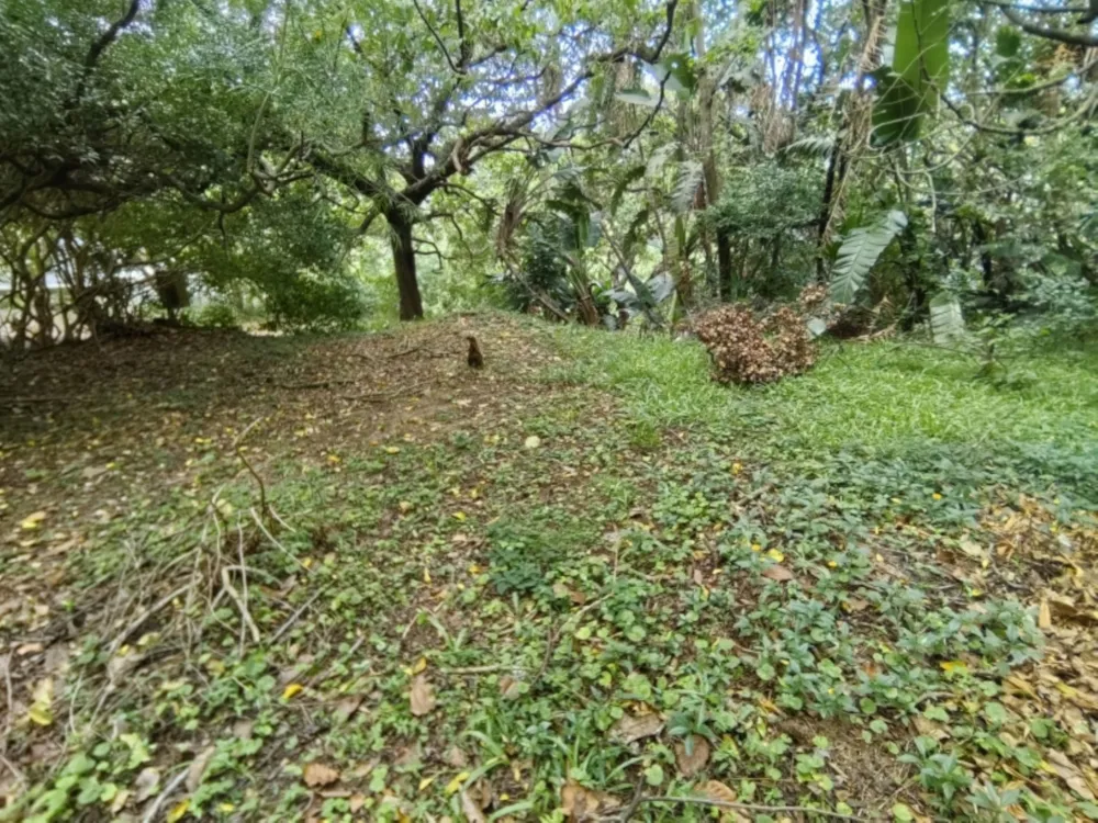 Residential vacant land for sale in Hibberdene - 1PSH1736116 Residential vacant land for sale in Hibberdene - 1PSH1736116