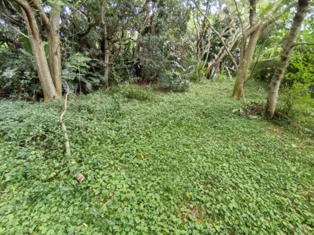 Residential vacant land for sale in Hibberdene - 1PSH1736116