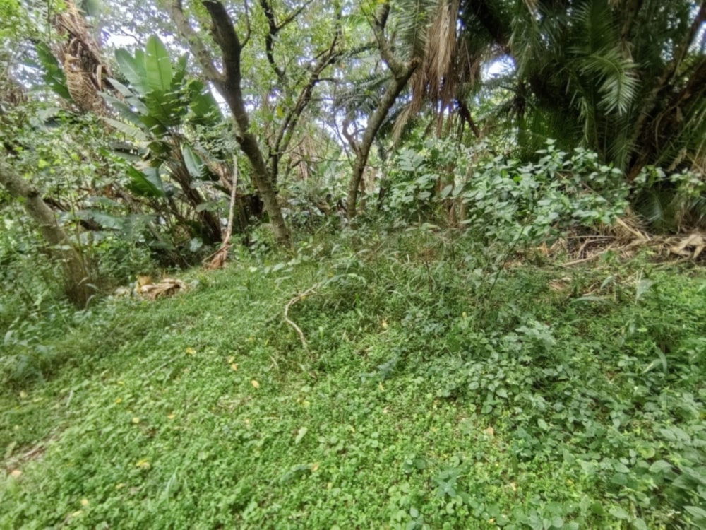 Residential vacant land for sale in Hibberdene - 1PSH1736116