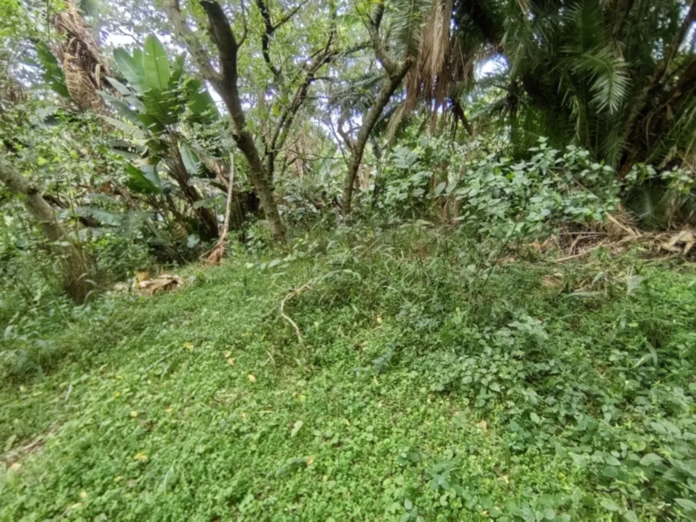 Residential vacant land for sale in Hibberdene - 1PSH1736116 Residential vacant land for sale in Hibberdene - 1PSH1736116