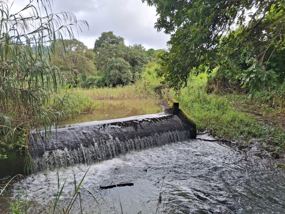 Smallholding for sale in Lushof A H - 1TA1737280