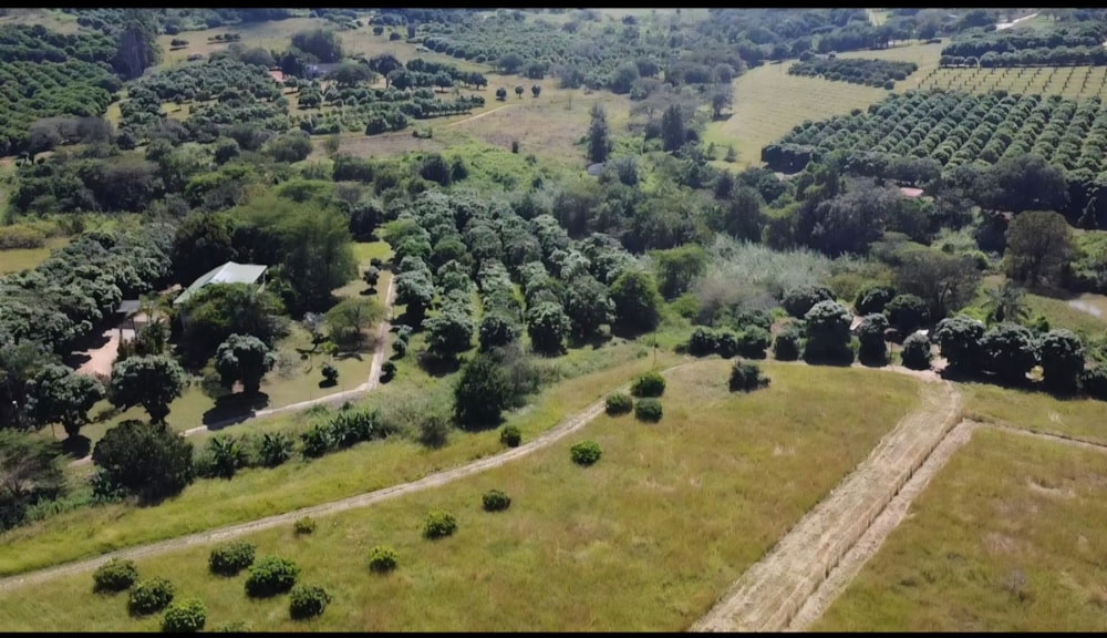 Smallholding for sale in Lushof A H - 1TA1737280