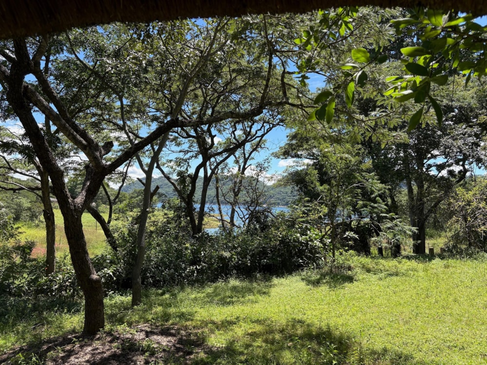 Beachfront villa for sale in Mazvikadei, Zimbabwe - 3ZB1736180 Beachfront villa for sale in Mazvikadei, Zimbabwe - 3ZB1736180