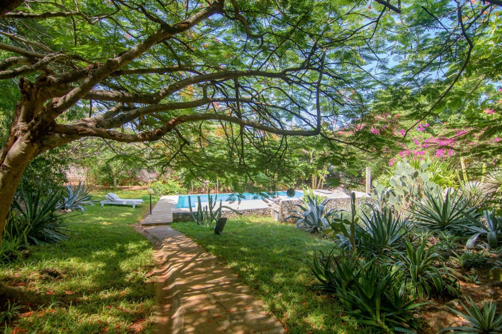 House for sale in Malindi, Kenya - 3KE1737277