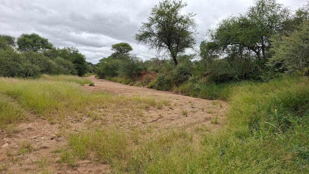Farm vacant land for sale in Hochfeld, Namibia - 3NM1736512