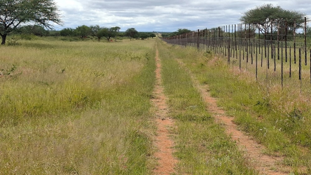Farm vacant land for sale in Hochfeld, Namibia - 3NM1736512