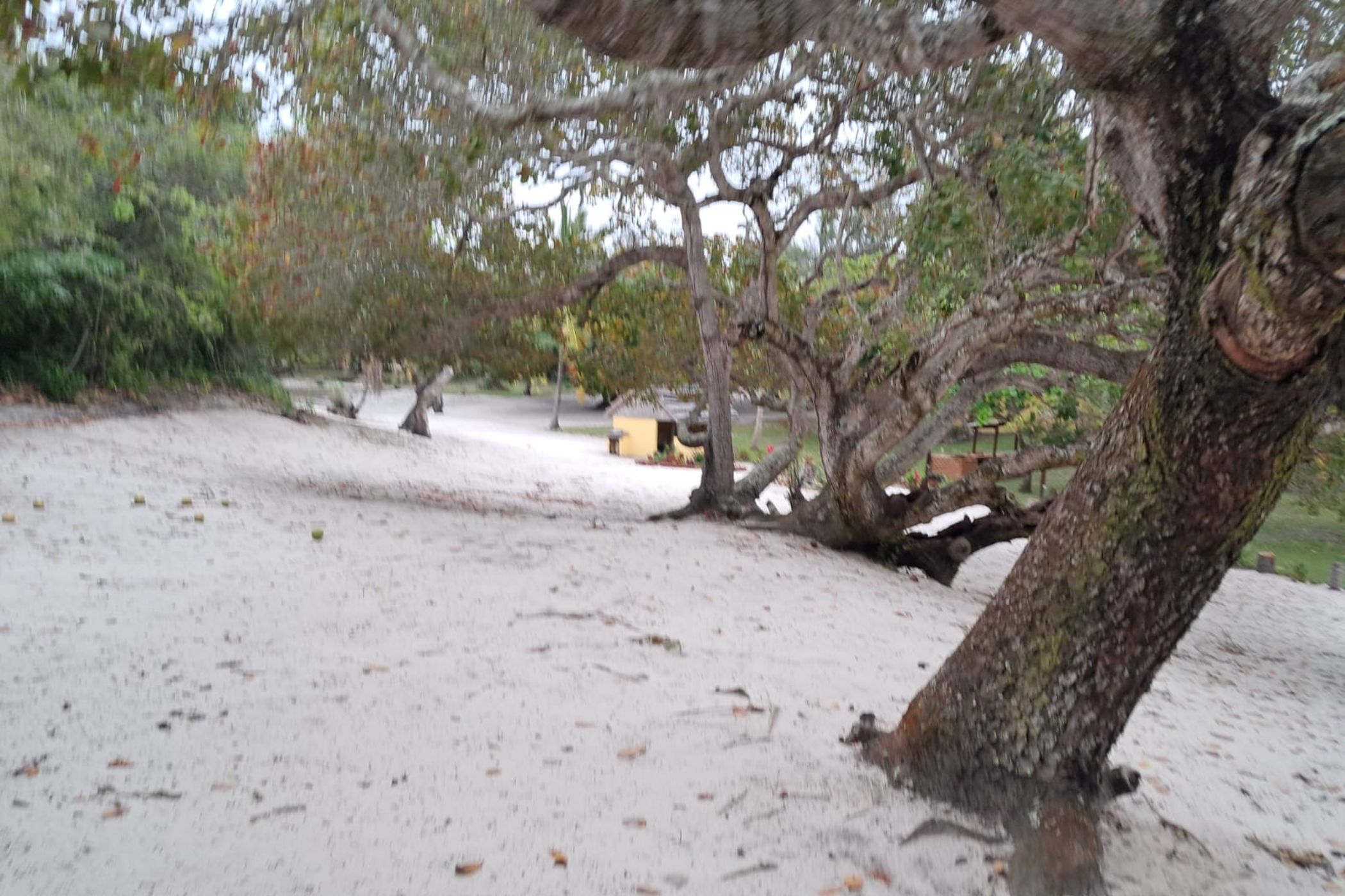 Vacant land for investment in Praia do Bilene, Gaza, Mozambique - 3MQ1736523