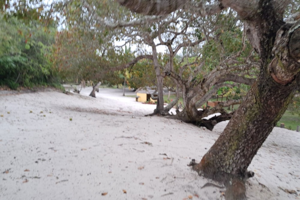 Vacant land for investment in Praia do Bilene, Gaza, Mozambique - 3MQ1736523